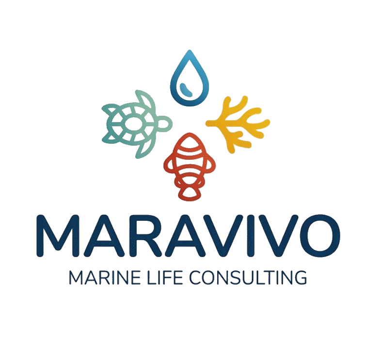 Maravivo